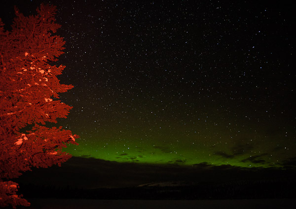 Far Northern Lights - Ice Raven - Sub Zero Adventure - Copyright Gary Waidson, All rights reserved.