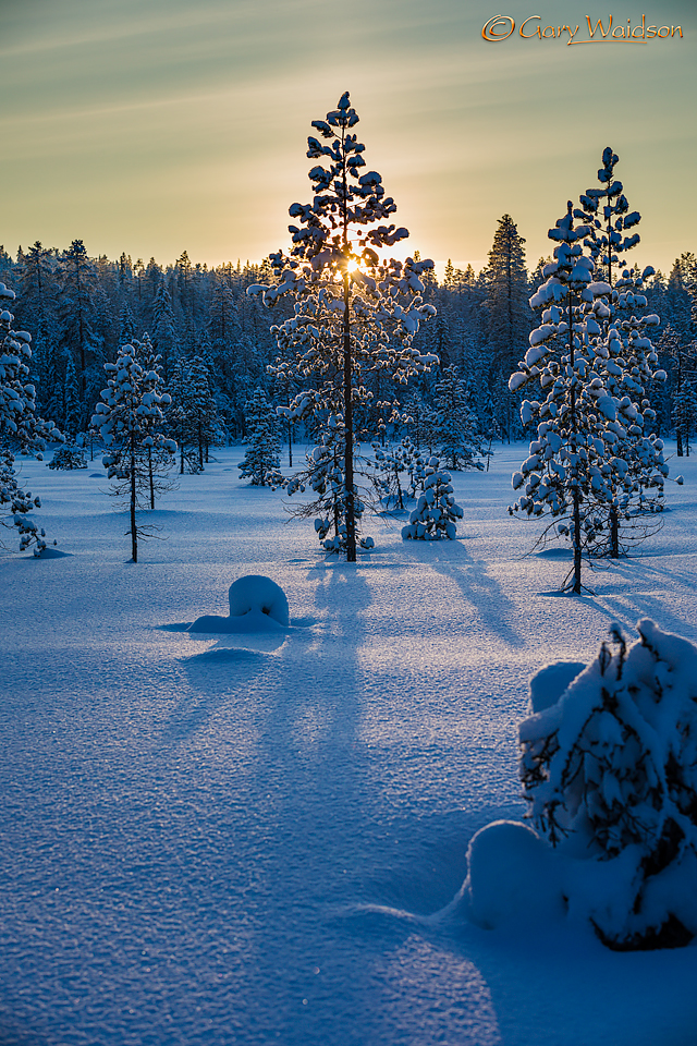 Kittila sunset - Ice Raven - Sub Zero Adventure - Copyright Gary Waidson, All rights reserved.