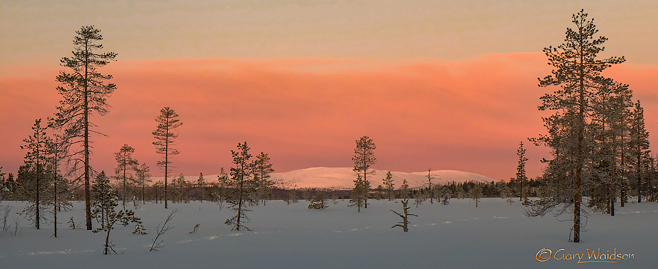 Arctic Light Kittila - Ice Raven - Sub Zero Adventure - Copyright Gary Waidson, All rights reserved.