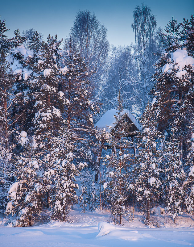 Shooting Hide - Ice Raven - Sub Zero Adventure - Copyright Gary Waidson, All rights reserved.
